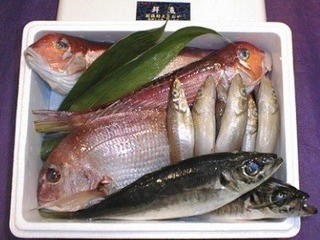 Sumisen - こだわりの鮮魚