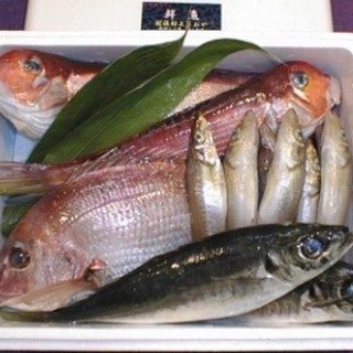 Fresh fish made with special care