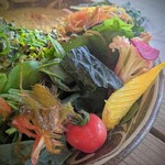 イラヨイ - お野菜サイドから。黄色人参やカリフローレ、モズクはマリネ。他にキャロットラペや複数種の葉野菜がこんもりです。