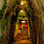 アボカド料理専門店FORZA