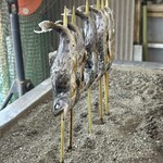 華厳の滝　つみっこ - 
