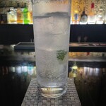 サファリ - ジントニック