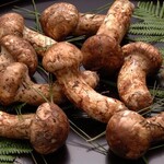 日本料理 菱沼 - 