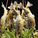 日本料理 菱沼 - 