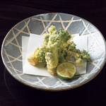 日本料理 菱沼 - 