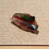 玄海 - 鯖