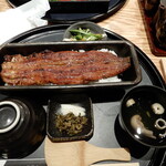 鰻魚四代目菊川 Midland Square 名古屋本店 - うな重