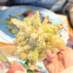 TRATTORIA 庭 BY FARM AKIRA - 