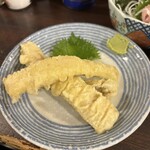 大衆酒場ラクダ - 