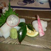 日本料理てら岡 中洲本店 - いか刺し
