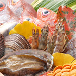 御曹司 松六家 - 熟練した職人の厳しい目で選び抜いた本当に美味い魚を。