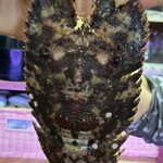 348016385 - 活きゾウリ海老◎