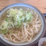 日和製麺 - 料理写真:かけうどんにねぎをのせて