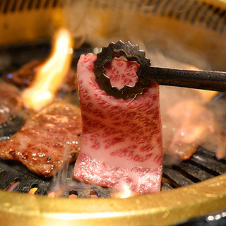 春の焼肉ベーシックコース 松阪苑 マツザカエン 近鉄四日市 焼肉 食べログ 春の焼肉ベーシックコース 松阪苑 マツザカエン 近鉄四日市 焼肉 食べログ