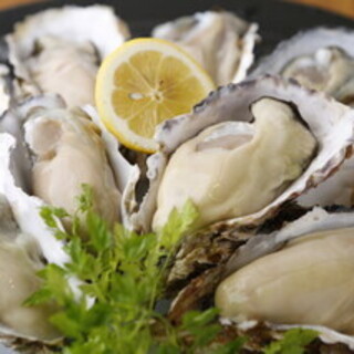 酒と魚と炙焼 新宿ろじ_2