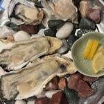 토리스타ー 신바시점 - 