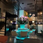 LEDIAN lounge - 