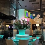 LEDIAN lounge - 