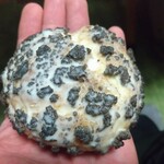 ファミリーマート - 料理写真: