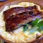 うなぎ和食処 すみの坊 - うな玉丼