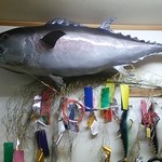 桂城 - 店内にマグロが泳いでる！！