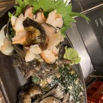 貝せん - 