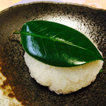 芦屋 柳月堂　玉川 - 椿餅