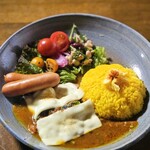 spice curry GRACE - 料理写真: