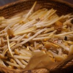 裏の山の木の子 - 