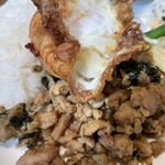 マンゴツリーカフェ - ガパオライス　目玉焼き付き