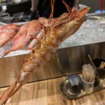 炭與海鮮與串燒與肴 Totttotto 難波千日前店 - 