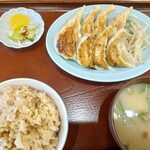 だもんで餃子 - 