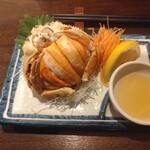 能登美 - 