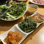 大衆炭火焼肉ジンギスカン ホルモン酒場 風土. - 