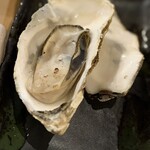 北海道さかな一途 直営魚問屋 - 