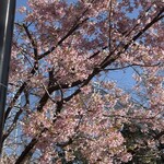 蕎麦と割烹 いいずか - 