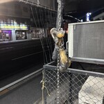 一条流がんこ十一代目 - 