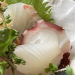 創業二百三十年食堂 - タコ
