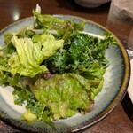 焼鳥どろまみれ - サラダ　葉物だけだが、ケールが特に美味しかった。