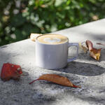 COFFEE VALLEY