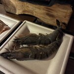 新宿三丁目テラス - 