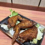 全席個室居酒屋 国産和牛肉寿司と海鮮 とろけ酒場 - 