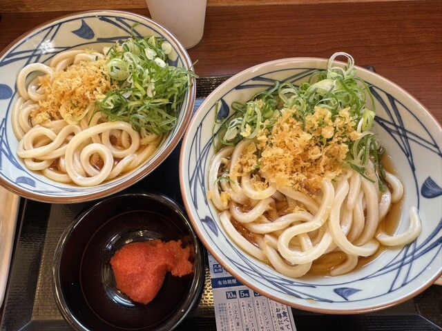 Marugame Seimen Chitosefunabashi ten - Chitose Funabashi/Udon