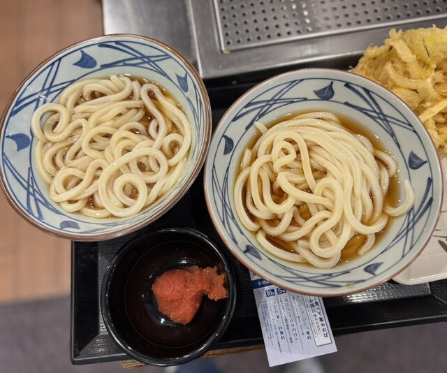 Marugame Seimen Chitosefunabashi ten - Chitose Funabashi/Udon