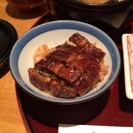 ひつまぶし名古屋備長 - 2015年1月 綺麗に盛り付けてみる