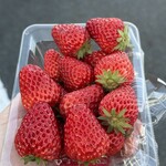 STAR - 料理写真:
