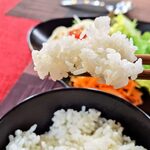 TOROMI洋食堂 - 