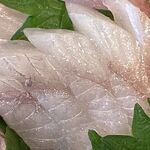 お食事処 ひでちゃん - スズキ,おまかせ地魚刺身定食,お食事処ひでちゃん(三重県志摩市和具漁港)TMGP撮影