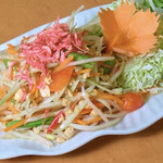チャオタイ 川崎店 - ソムタム