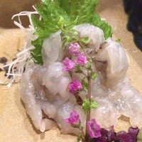 うぶか - 